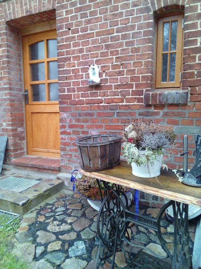 Letschin Ferienwohnung Fuchsberge מראה חיצוני תמונה